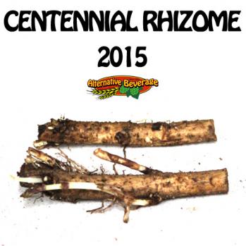 2015-Rhizomes-Centennial-AB.jpg