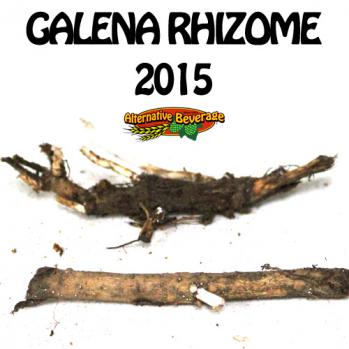 2015-Rhizomes-Galena-AB.jpg