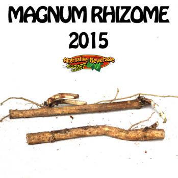 2015-Rhizomes-Magnum-AB.jpg