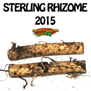 2015-Rhizomes-Sterling-AB.jpg