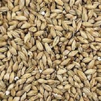 2-Row Brewer's Pale Malt American Briess 