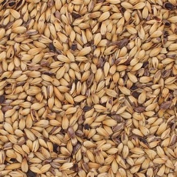 Crystal Red Malt American Briess 