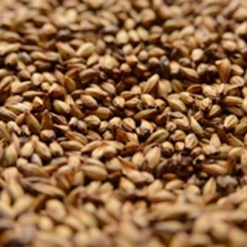 Crystal Malt 120L American Briess 