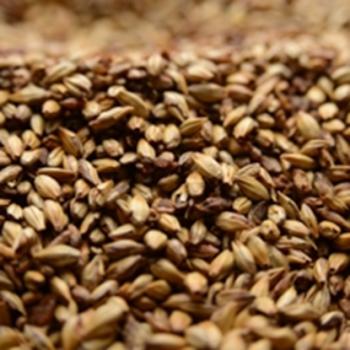 Crystal Malt 60L American Briess 