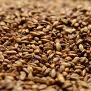 Crystal Malt 80L American Briess 