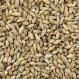 2-Row Brewer's Pale Malt American Briess 