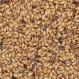 Crystal Red Malt American Briess 