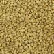 White Wheat Malt American Briess 