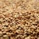 Crystal Malt 10L American Briess 