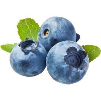 Blueberry Oregon Fruit Puree
