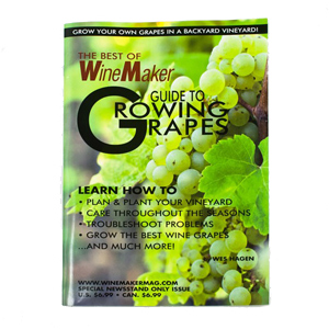 Brew Magazine Guide to Growing Grapes