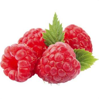 Red Raspberry Oregon Fruit Puree