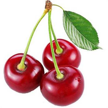 Dark Sweet Cherry Oregon Fruit Puree