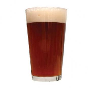 Boston Chappaquiddick Ale Home Brew Extract Recipe Kit