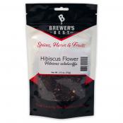 Hibiscus-Flower