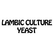 lambic-culture-cat.jpg